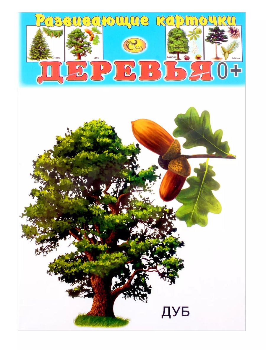 Обложка книги "Развивающие карточки Деревья (0+) (13 карточек)"