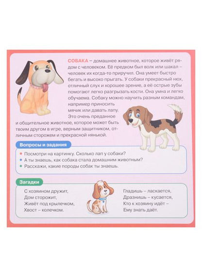Фотография книги "Развивающие карточки для детей. Домашние животные (20 карточек)"