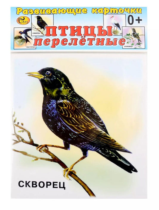 Обложка книги "Развивающие карточки Птицы перелетные (0+) (12 карточек)"