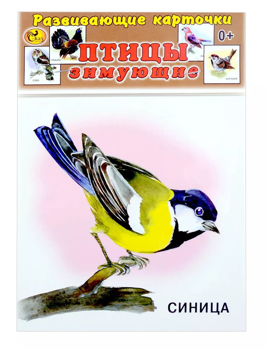Обложка книги "Развивающие карточки Птицы зимующие (0+) (13 карточек)"