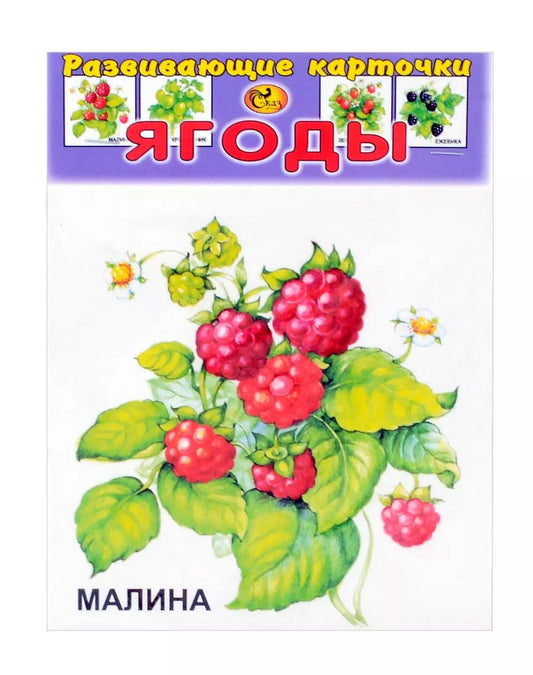 Обложка книги "Развивающие карточки Ягоды (0+) (13 карточек)"