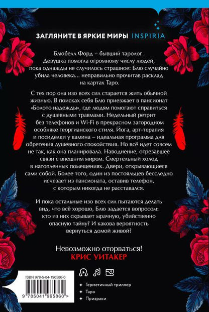 Фотография книги "Ребекка Торн: Карта убийцы"