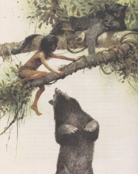 Фотография книги "Редьярд Киплинг: Книга джунглей"