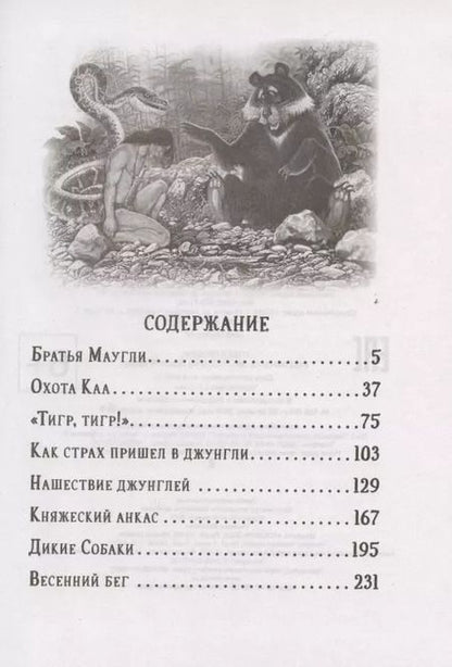 Фотография книги "Редьярд Киплинг: Маугли"