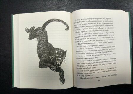 Фотография книги "Редьярд Киплинг: Маугли"