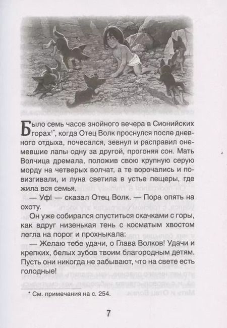Фотография книги "Редьярд Киплинг: Маугли"