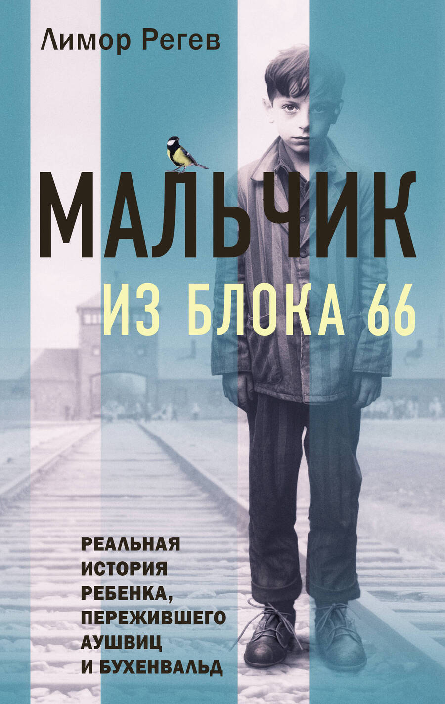 Обложка книги "Регев: Мальчик из Блока 66. Реальная история ребенка, пережившего Аушвиц и Бухенвальд"