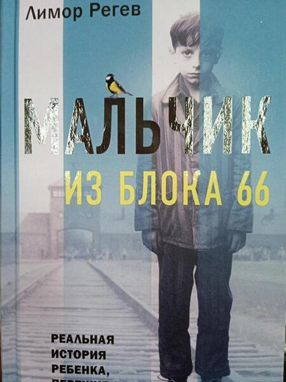 Фотография книги "Регев: Мальчик из Блока 66. Реальная история ребенка, пережившего Аушвиц и Бухенвальд"