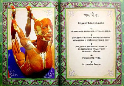 Фотография книги "Рэй Лонг: Анатомия прогибаний и скручиваний"
