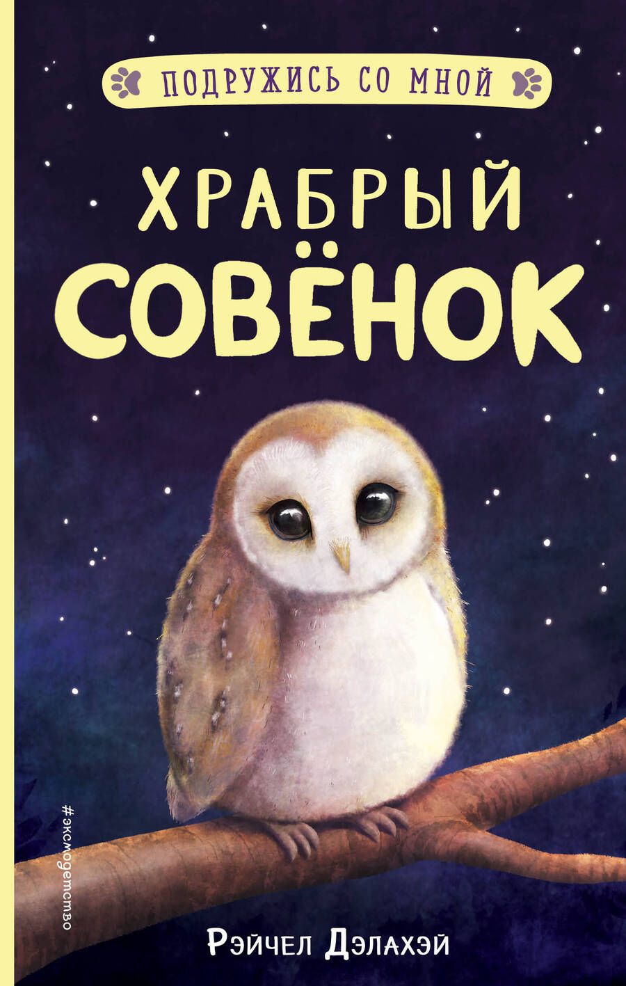 Обложка книги "Рэйчел Дэлахэй: Храбрый совенок"
