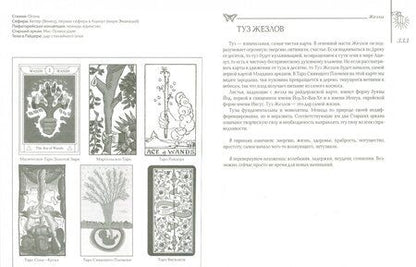 Фотография книги "Рэйчел Поллак: Мудрость таро. Духовные учения и глубинные значения карт"