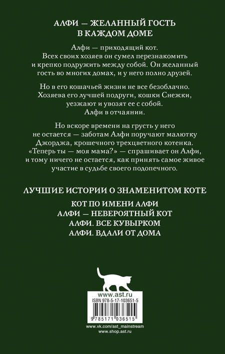 Фотография книги "Рейчел Уэллс: Алфи и Джордж: роман"