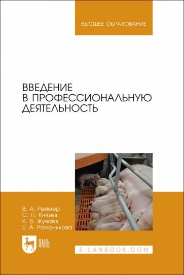 Обложка книги "Реймер, Князев, Жучаев: Введение в профессиональную деятельность. Учебник для вузов"