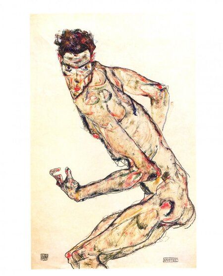 Фотография книги "Reinhard Steiner: Egon Schiele"