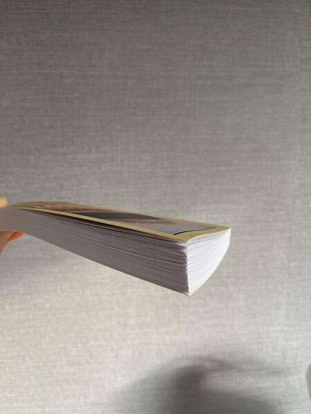 Фотография книги "Ремарк: Фиолетовый сон"