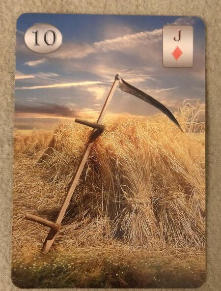 Фотография книги "Рената Лехнер: Оракул Телема Ленорман (книга + 36 карт)"