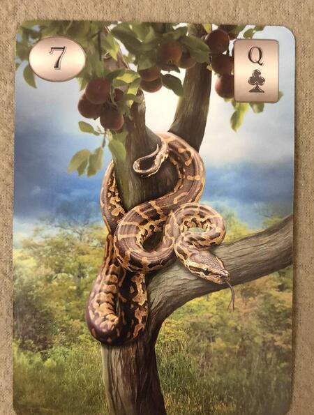 Фотография книги "Рената Лехнер: Оракул Телема Ленорман (книга + 36 карт)"