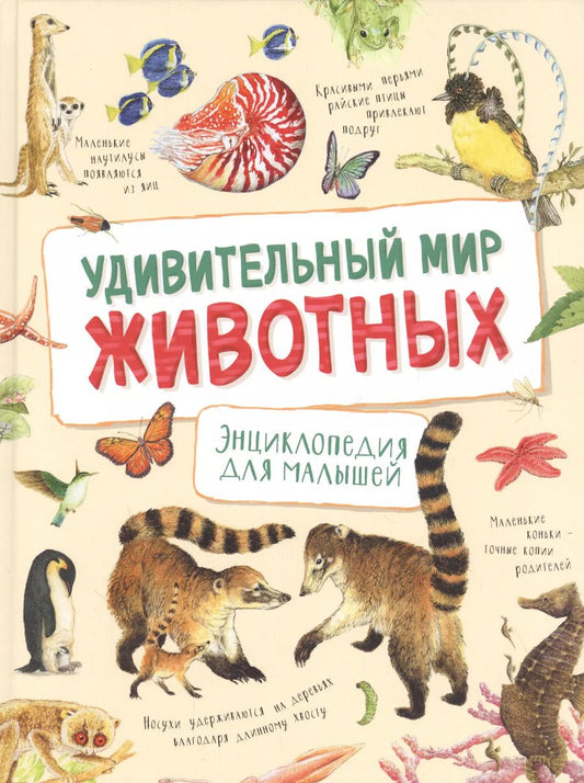 Обложка книги "Ренне: Удивительный мир животных. Энциклопедия для малышей"