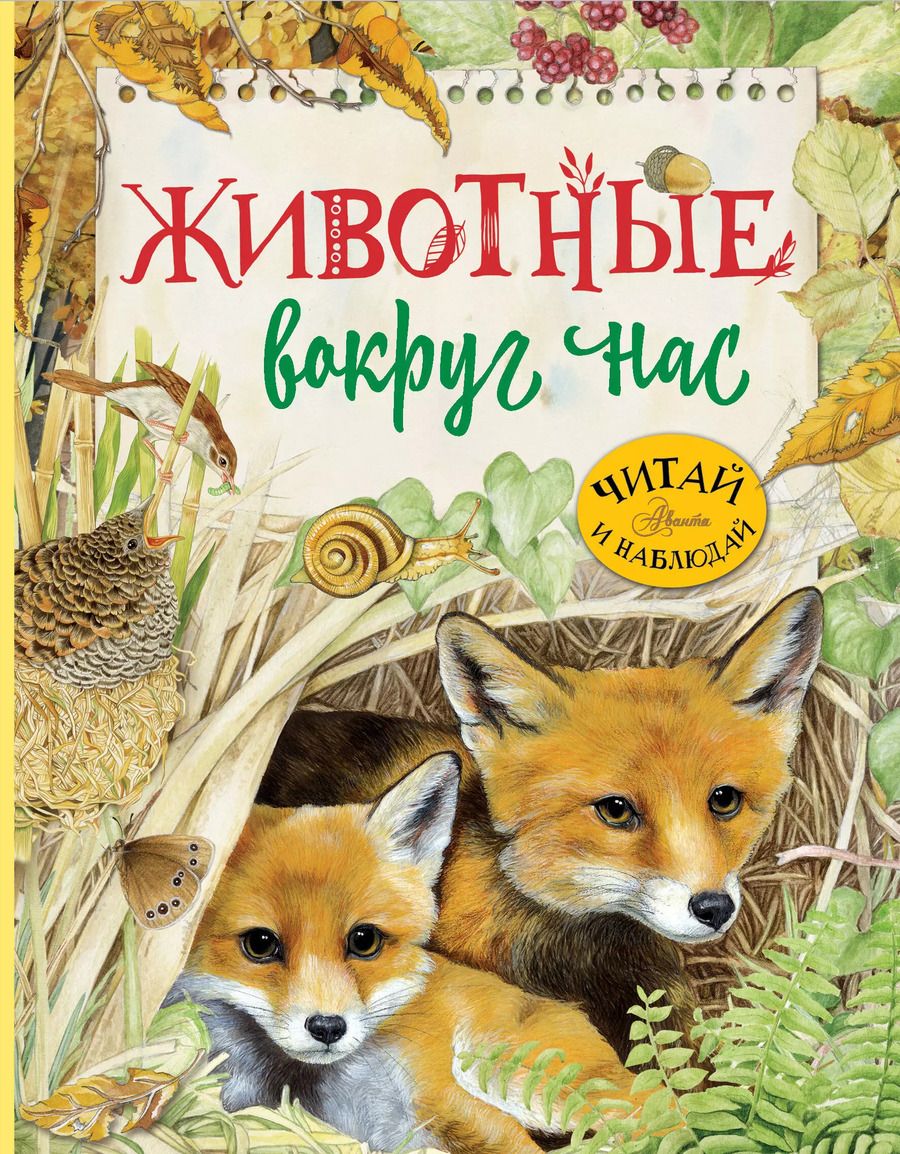 Обложка книги "Ренцо Барсотти: Животные вокруг нас"