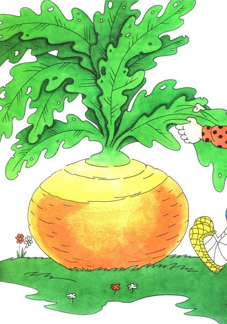 Фотография книги "Репка"