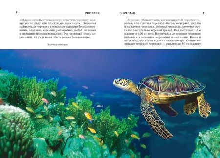 Фотография книги "Рептилии."