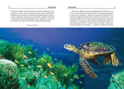 Фотография книги "Рептилии."