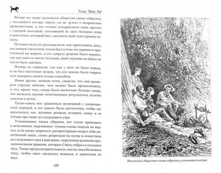 Фотография книги "Рид Майн: Морской волчонок, или на дне трюма. Скитальцы Борнео, или Капитан Редвуд"