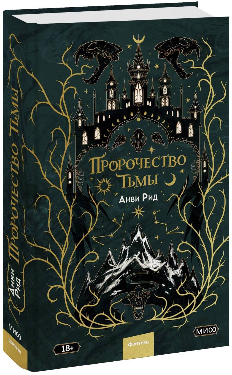 Обложка книги "Рид: Пророчество тьмы"