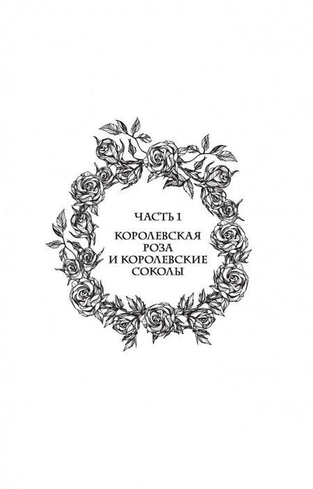 Фотография книги "Ригби: Капитан Два Лица"