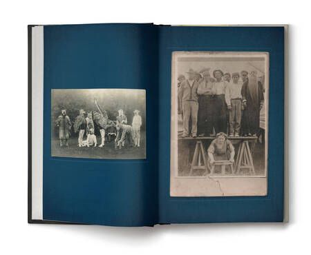Фотография книги "Риггз: Собрание птиц"