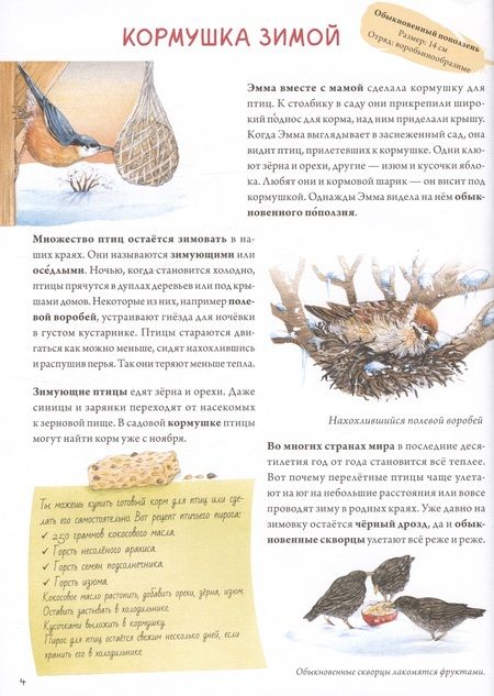 Фотография книги "Риха Сюзанна: Книга о птицах. BIObook А. Толмачёва"