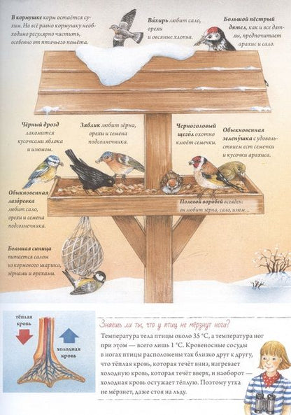 Фотография книги "Риха Сюзанна: Книга о птицах. BIObook А. Толмачёва"