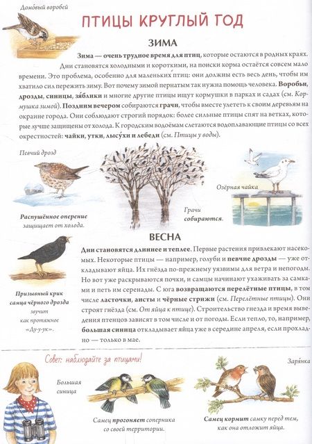 Фотография книги "Риха Сюзанна: Книга о птицах. BIObook А. Толмачёва"