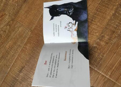 Фотография книги "Римма Алдонина: День рождения собаки"