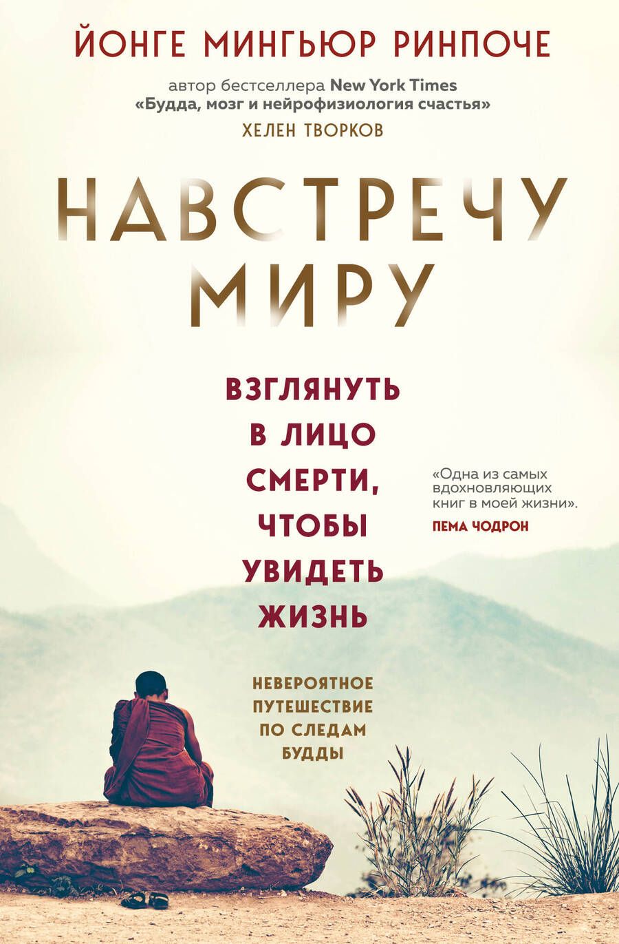 Обложка книги "Ринпоче: Навстречу миру"