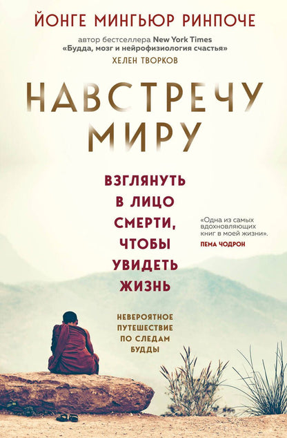 Обложка книги "Ринпоче: Навстречу миру"