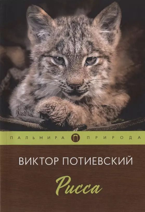 Обложка книги "Рисса"