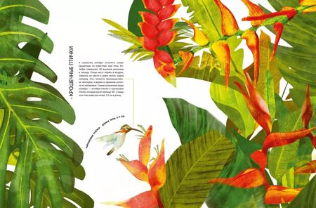 Фотография книги "Рита Скьяво: Самые удивительные животные в натуральную величину"