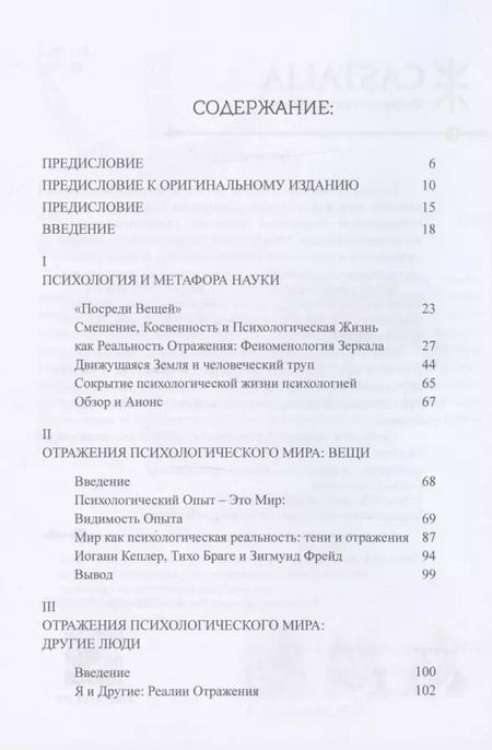 Фотография книги "Роберт Д.: Зеркало и Метафора"