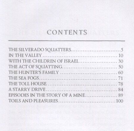 Фотография книги "Роберт Льюис: The Silverado Squatters"