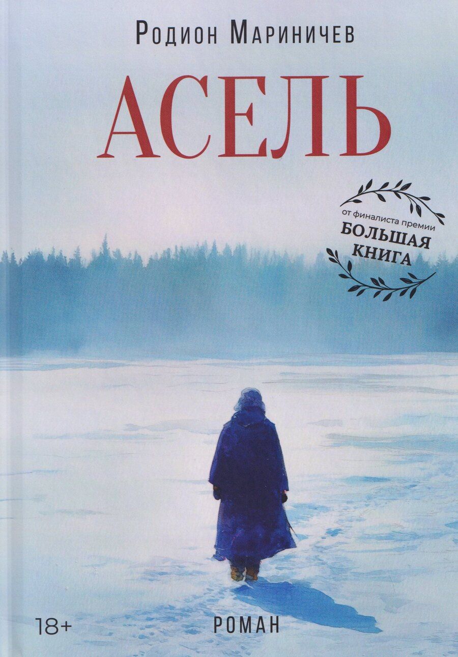 Обложка книги "Родион Мариничев: Асель"