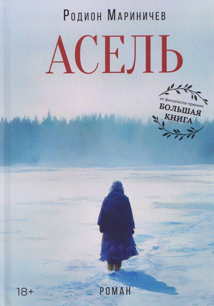 Обложка книги "Родион Мариничев: Асель"