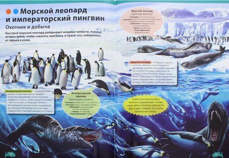 Фотография книги "Родригес: Подводный мир. Иллюстрированная энциклопедия"