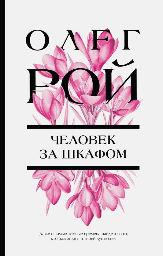 Обложка книги "Рой: Человек за шкафом"