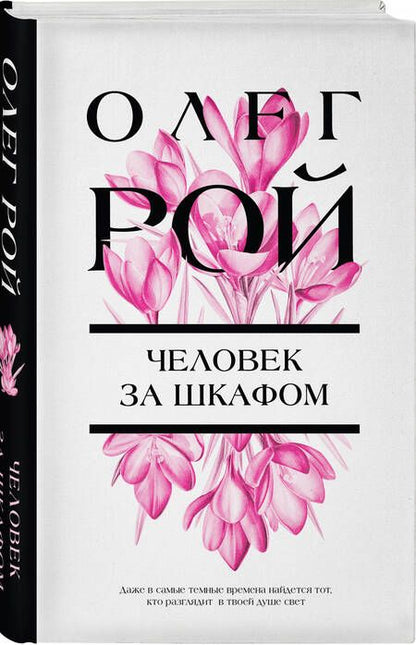 Фотография книги "Рой: Человек за шкафом"