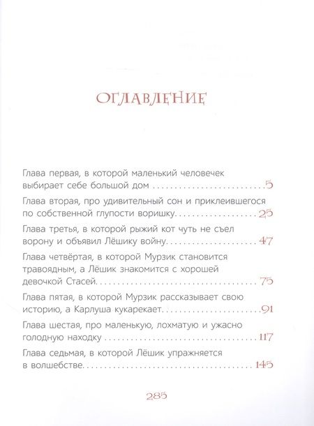 Фотография книги "Рой: Лешик и волшебная книга"