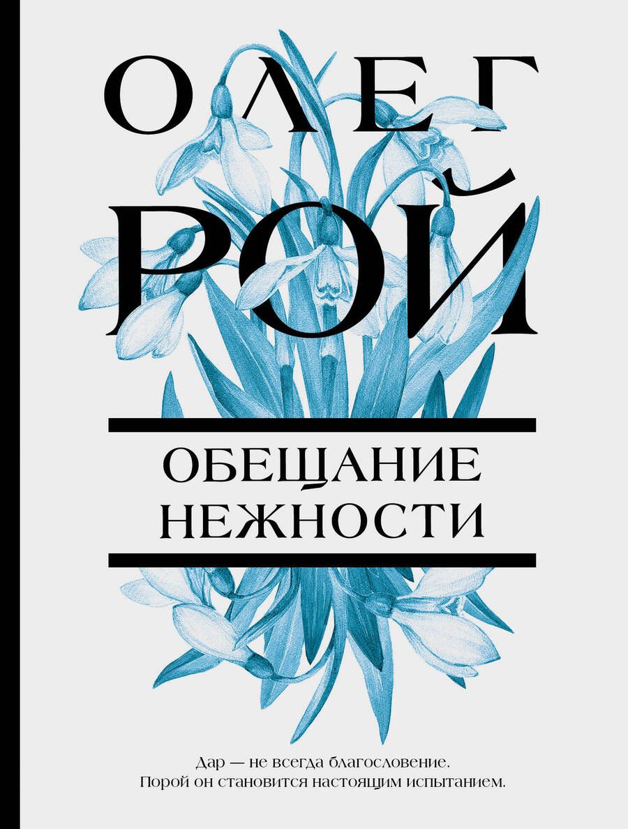 Обложка книги "Рой: Обещание нежности"