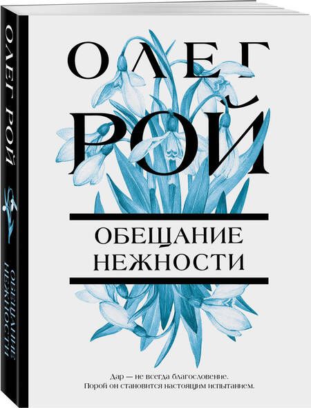 Фотография книги "Рой: Обещание нежности"