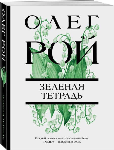 Фотография книги "Рой: Зеленая тетрадь"