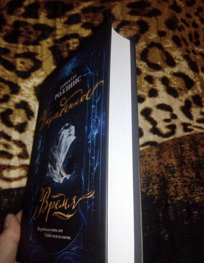 Фотография книги "Роллинс: Украденное время"